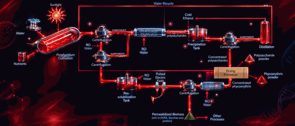 Red Algae Co-Product Extraction